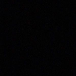 Meet your Posher, Dalia